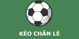 Giới Thiệu Về Kèo Chẵn Lẻ: Đặc Điểm Và Cách Thức Chơi